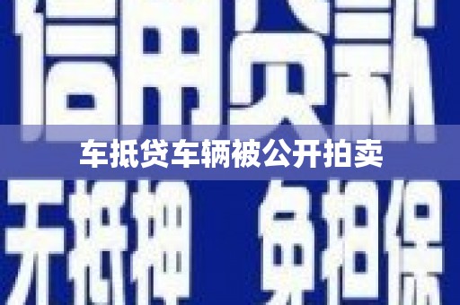 古塔车抵贷车辆被公开拍卖