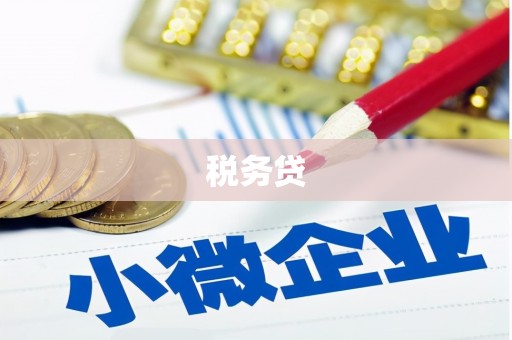 果洛税务贷