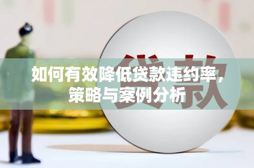 西双版纳如何有效降低贷款违约率，策略与案例分析