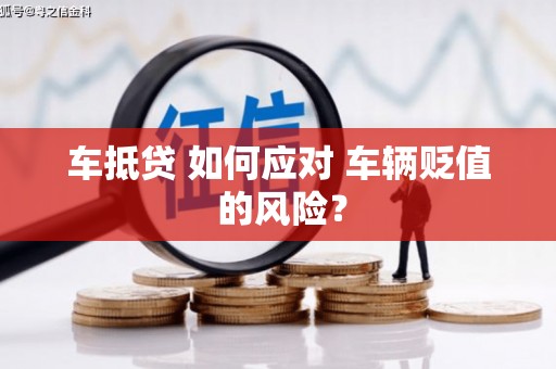灵山车抵贷 如何应对 车辆贬值 的风险？