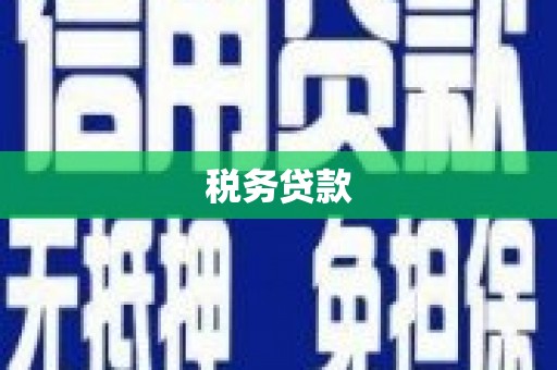 灵山税务贷款
