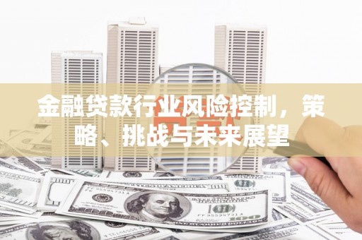 建平金融贷款行业风险控制，策略、挑战与未来展望