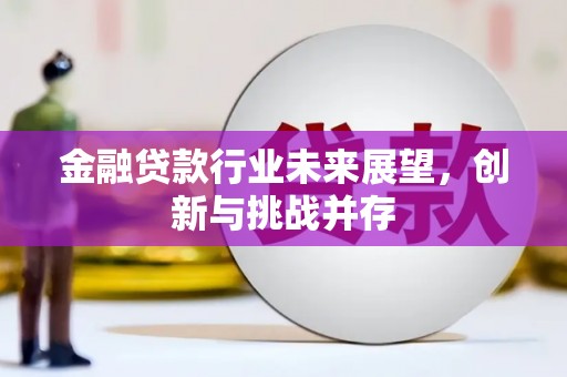 漯河金融贷款行业未来展望，创新与挑战并存