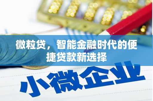 伊犁哈萨克微粒贷，智能金融时代的便捷贷款新选择