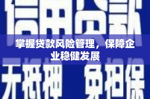 黟县掌握贷款风险管理，保障企业稳健发展