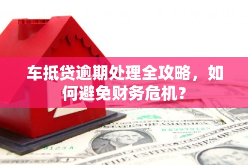 莲都车抵贷逾期处理全攻略，如何避免财务危机？