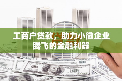 莲花工商户贷款，助力小微企业腾飞的金融利器