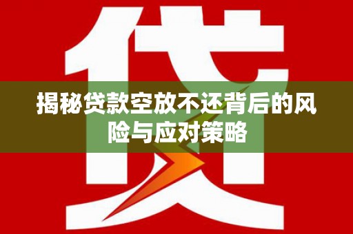 北林揭秘贷款空放不还背后的风险与应对策略