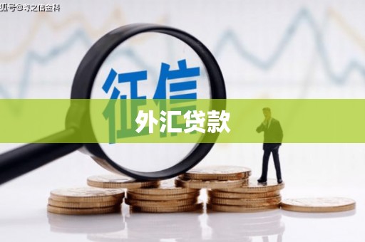 北林外汇贷款