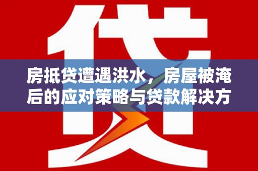 南浔房抵贷遭遇洪水，房屋被淹后的应对策略与贷款解决方案