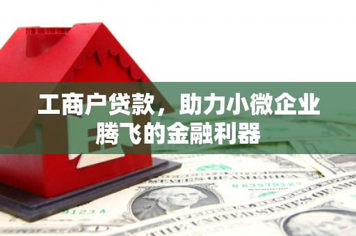 云岩工商户贷款，助力小微企业腾飞的金融利器