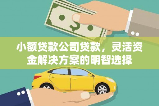 福州小额贷款公司贷款，灵活资金解决方案的明智选择