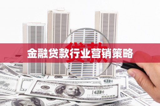 连南金融贷款行业营销策略