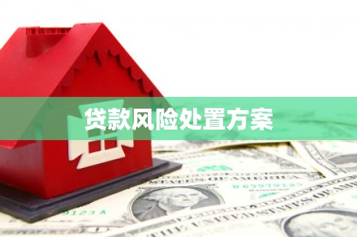 临武贷款风险处置方案