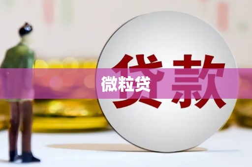 深圳微粒贷