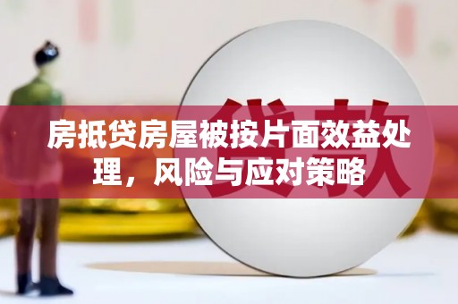 景县房抵贷房屋被按片面效益处理，风险与应对策略