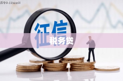 林内税务贷
