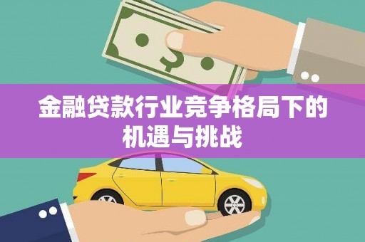 宾川金融贷款行业竞争格局下的机遇与挑战