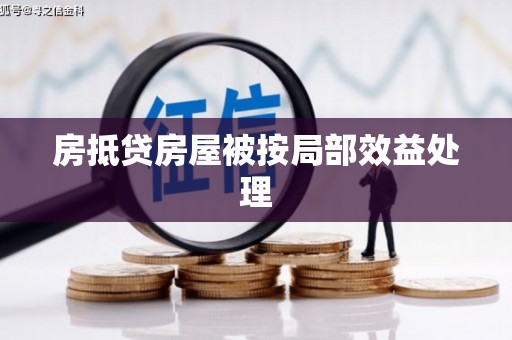 盖州房抵贷房屋被按局部效益处理