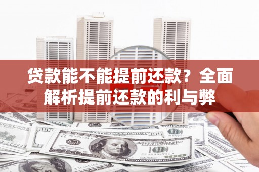 平阳贷款能不能提前还款？全面解析提前还款的利与弊