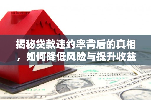 土默特右旗揭秘贷款违约率背后的真相，如何降低风险与提升收益