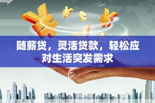 土默特右旗随薪贷，灵活贷款，轻松应对生活突发需求