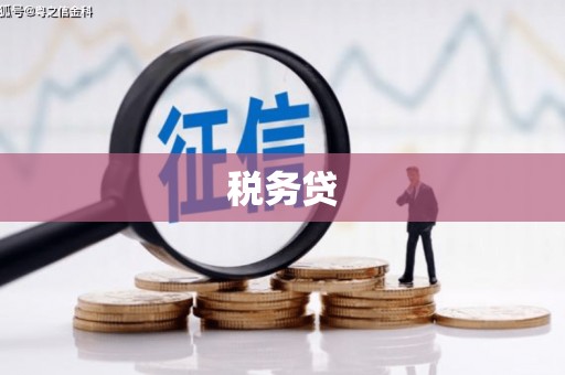 张掖税务贷