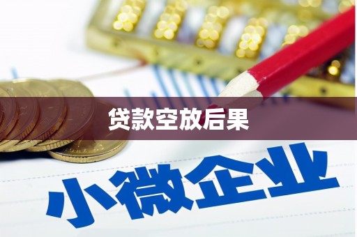 盖州贷款空放后果