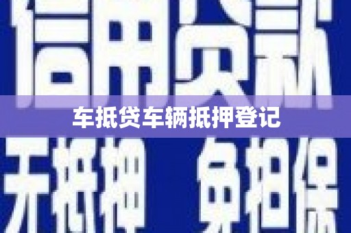 逊克车抵贷车辆抵押登记