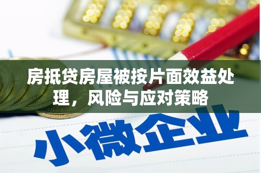 潼关房抵贷房屋被按片面效益处理，风险与应对策略
