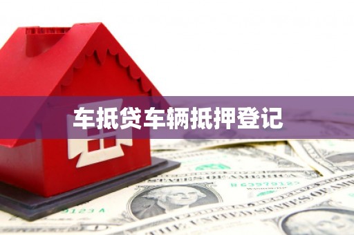 大鹏新区车抵贷车辆抵押登记