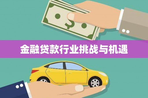 马边金融贷款行业挑战与机遇