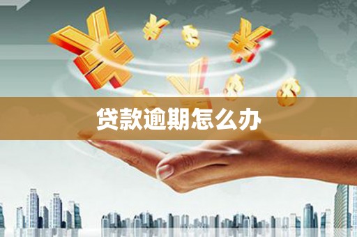 马边贷款逾期怎么办