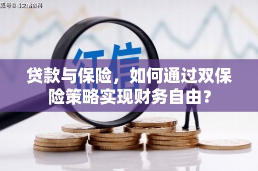 资源贷款与保险，如何通过双保险策略实现财务自由？