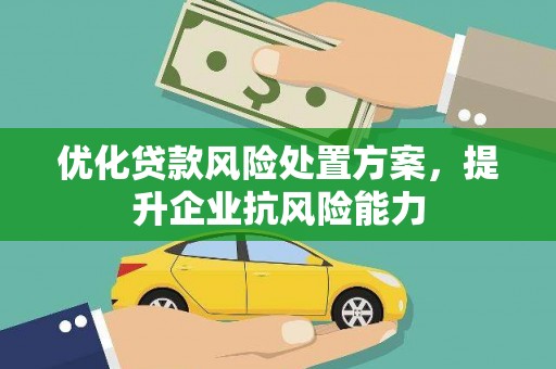海北优化贷款风险处置方案，提升企业抗风险能力