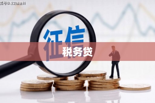 桂东税务贷