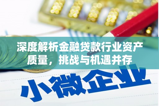 汾西深度解析金融贷款行业资产质量，挑战与机遇并存