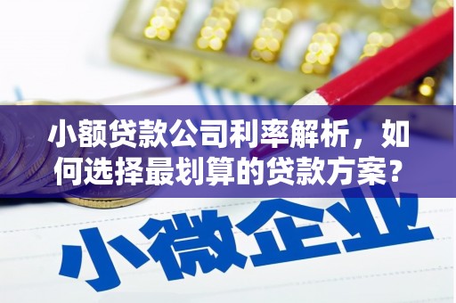 新和小额贷款公司利率解析，如何选择最划算的贷款方案？
