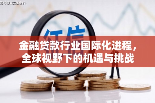 新和金融贷款行业国际化进程，全球视野下的机遇与挑战