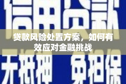 三地门贷款风险处置方案，如何有效应对金融挑战