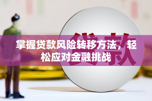 秦汉掌握贷款风险转移方法，轻松应对金融挑战