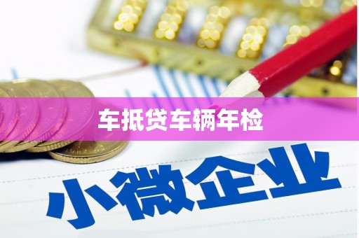 满城车抵贷车辆年检
