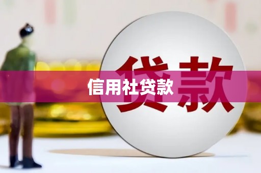 石排信用社贷款