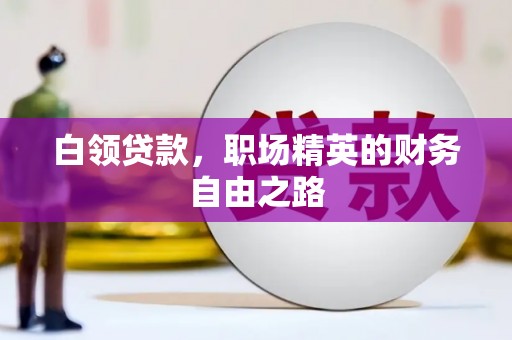 麻栗坡白领贷款，职场精英的财务自由之路