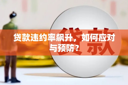海曙贷款违约率飙升，如何应对与预防？