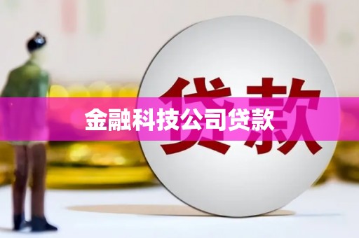 卢氏金融科技公司贷款