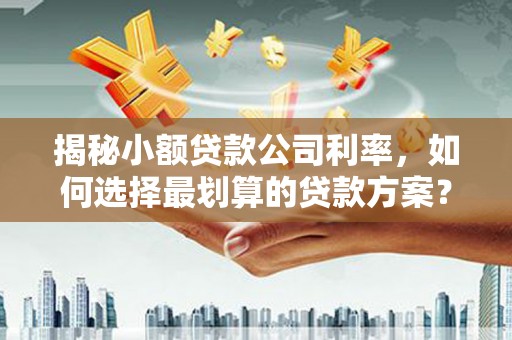 同德揭秘小额贷款公司利率，如何选择最划算的贷款方案？