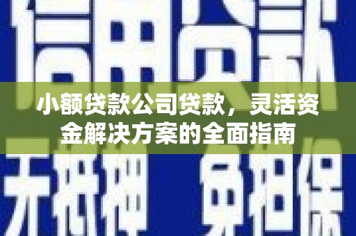 信义小额贷款公司贷款，灵活资金解决方案的全面指南