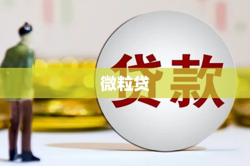 邯山微粒贷