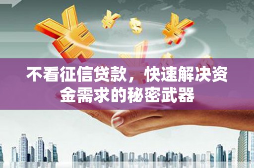 安平不看征信贷款，快速解决资金需求的秘密武器